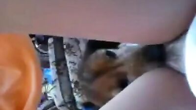 Teen Beauty Licks Hot Doggy Cock