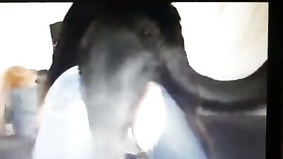 Raunchy Russian Zoo Girl Takes Doggy Style Dicking on Skype