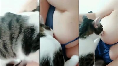 Cat sucking tits