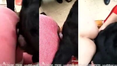 Puppy Lovers Rejoice - Hot Chinese Girl Swallows Dog Cock