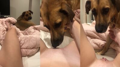 Yummy Lick Teen