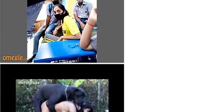 Indian College Class Watches Dogs and Horses