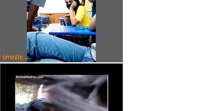 Indian College Class Watches Dogs and Horses