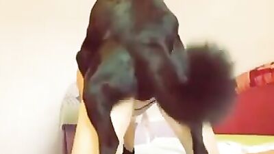 Puppy Lovin Bitch Gets Her Tight Cunt Stuffed