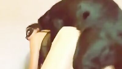 Puppy Lovin Bitch Gets Her Tight Cunt Stuffed