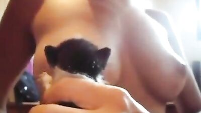 Little cat drinking breast milk