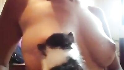 Little cat drinking breast milk