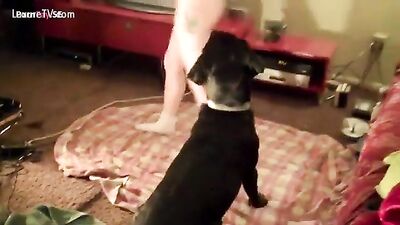 Regular having sex with doggy