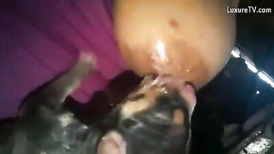 Puppy sucking milky titts
