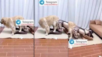 teen first try dog dick 2