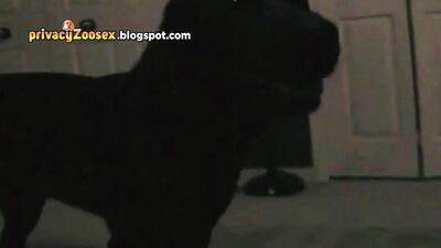 AMATEUR WIFE WITH DOG