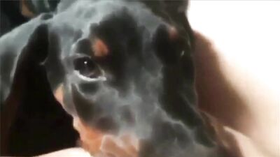 The best lick