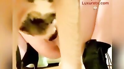 Steamy Slut Seduces Hung Hound for Messy P*ssy Cum