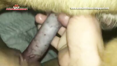 Steamy Teen Twerk Session with Eager Canines Tongue