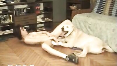 Knotty Girl Devours Dogs Massive Cock