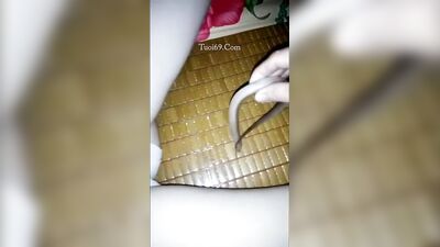 swamp eel asian