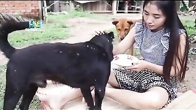 thai jerking dog