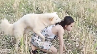 Shy Thai Jerking Dog