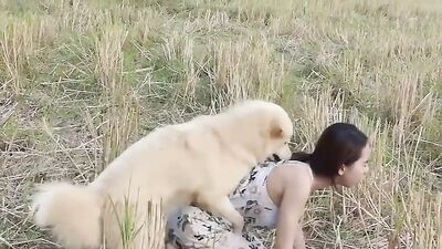 Shy Thai Jerking Dog