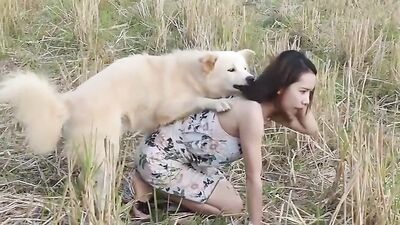 Shy Thai Jerking Dog