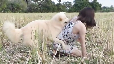 Shy Thai Jerking Dog