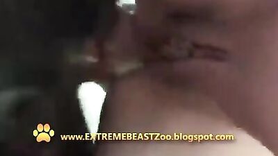 Who doesnt like a good lick2