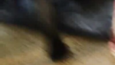 Busty Nevada Teen Nails Slobbery Pooch Cock