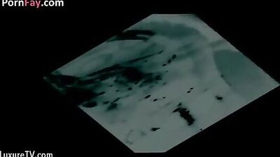 X ray Elise full version