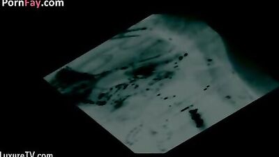 X ray Elise full version