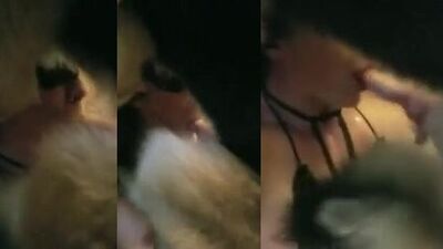 Pucker Up Pup! Busty Babe Face Fucks Hung Hound While Slobbering Over