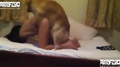 Stairway To Heaven - Teen Sucks Dick On Car Steps