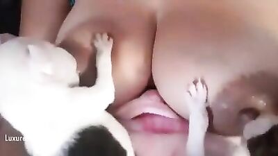 Milky titts for hungry puppies 2
