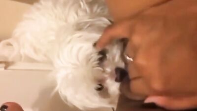 Ebony and dog in bathroom