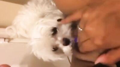 Ebony and dog in bathroom