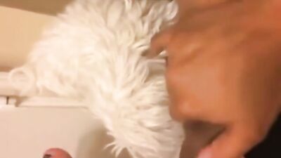 Ebony and dog in bathroom
