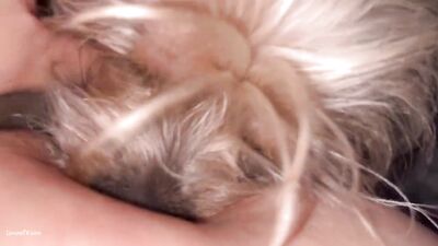 Cute Puppy Goes AWWWW with Moms Boob