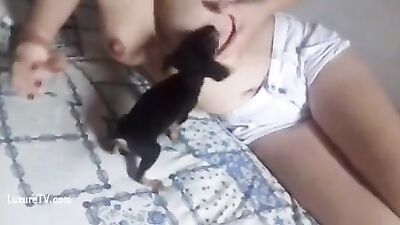 feeding puppy