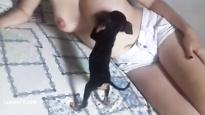 feeding puppy