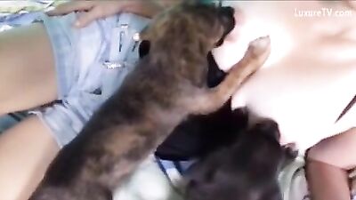 Milky breasts and puppies 3