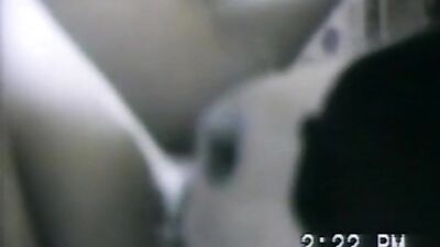 Breastfeeding calf