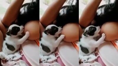 Savory Spit Roast: Puppys Thick Cock in Busty Milfs Mouth