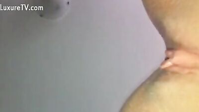 Dog eating pussy 1