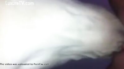 Dog eating pussy 1