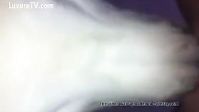 Dog eating pussy 1