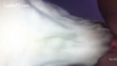 Dog eating pussy 1