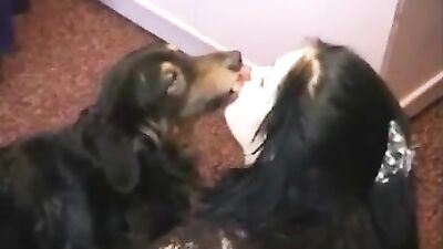 dog penis hungry girl