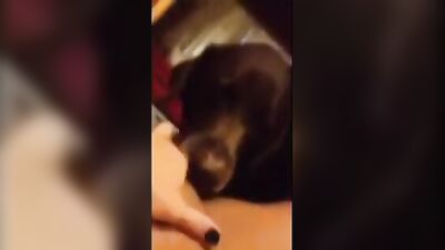 Slobbering Pup Licks And Devours Her Slutty Mistress
