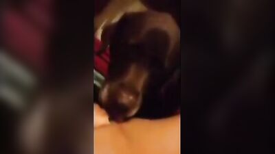 Slobbering Pup Licks And Devours Her Slutty Mistress