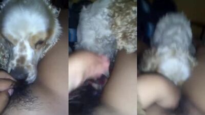 Lambendo novinha amiga