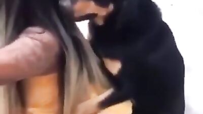 Public Dog Teasing